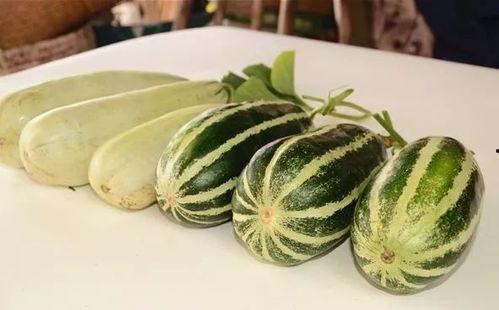 免费吃网红瓜,揭秘网络红人的幕后故事